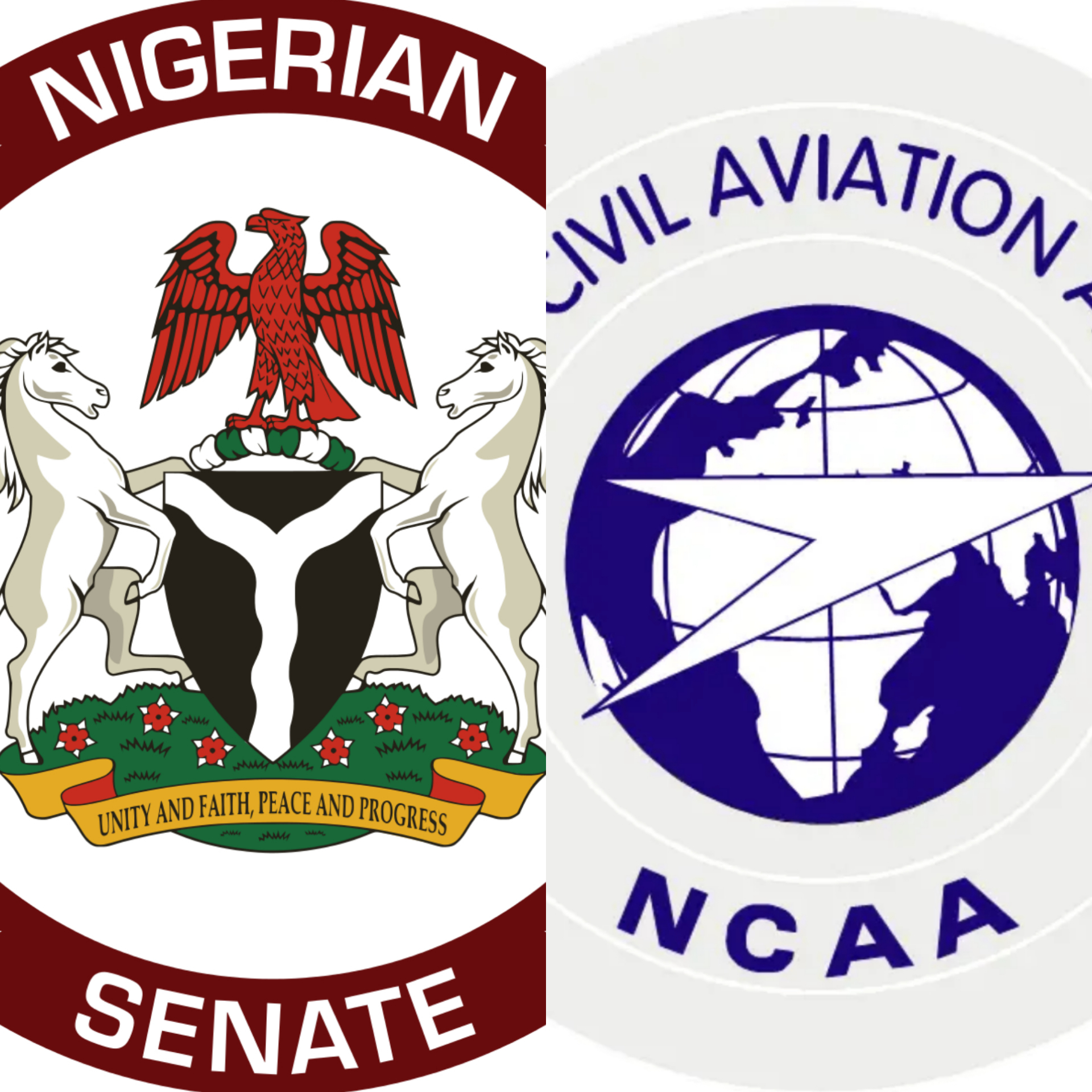 Ground Handling Rates & Ng Eagle: Stop the Interference – Opinion