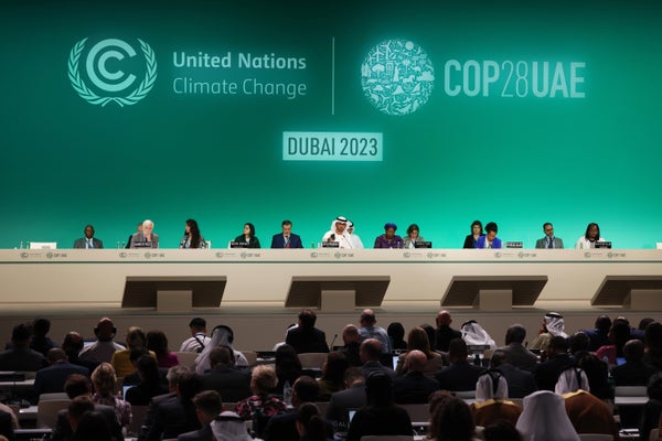 COP28: Climate experts advocate for strengthened AU-EU collaboration on ocean governance, blue economy