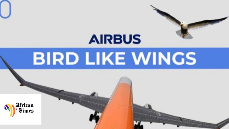 Airbus to test revolutionary ‘Flapping Wings’ as it aligns with NetZero aviation targets