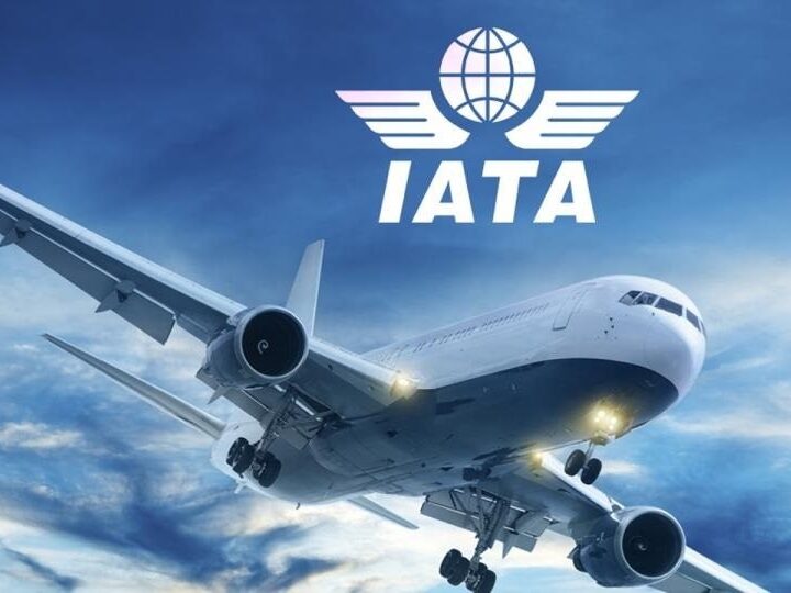 IATA Launches New Digital Baggage System to Improve Airline Efficiency, Passenger Experience