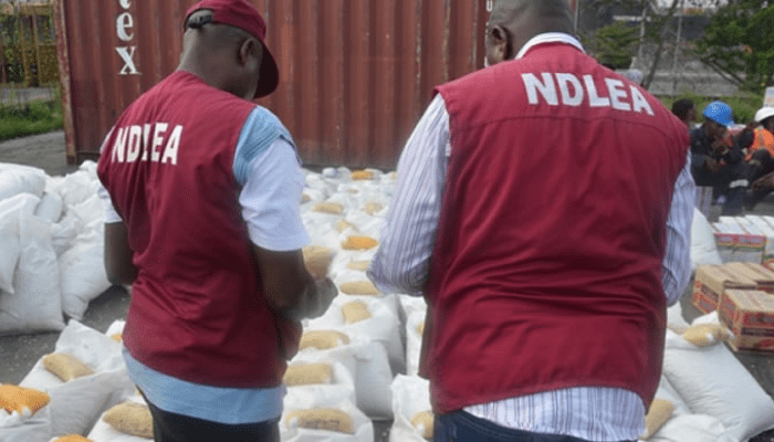 Nigeria: NDLEA arrests man trafficking Opioid pills to insurgents; pregnant woman, others nabbed in major drug busts