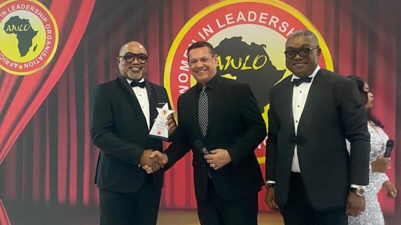 Dana Air wins Gender-Friendly Airline Award, joins one million man walk for women advocacy