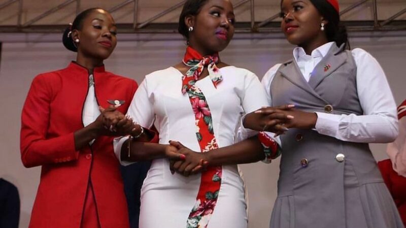 Dana Air champions human capacity development, sponsors cabin crew contest in Port Harcourt