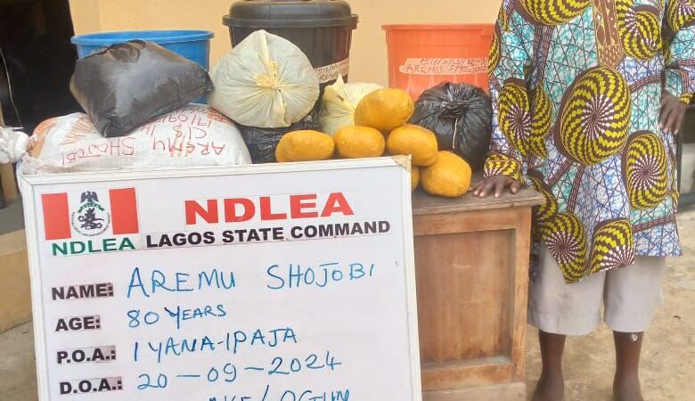 NDLEA Intercepts N16.1bn Worth of Opioids in Major Drug Bust, Arrests 80-Year-Old