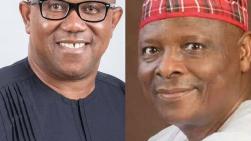 PDP Initiates Talks with Peter Obi, Kwankwaso Ahead of 2027 Elections