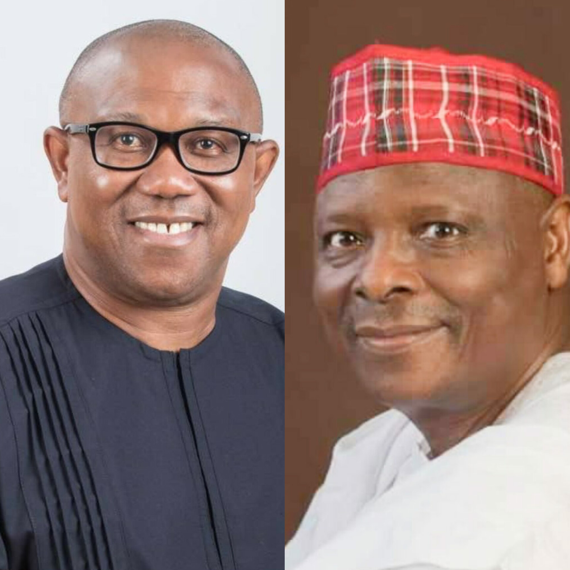 PDP Initiates Talks with Peter Obi, Kwankwaso Ahead of 2027 Elections