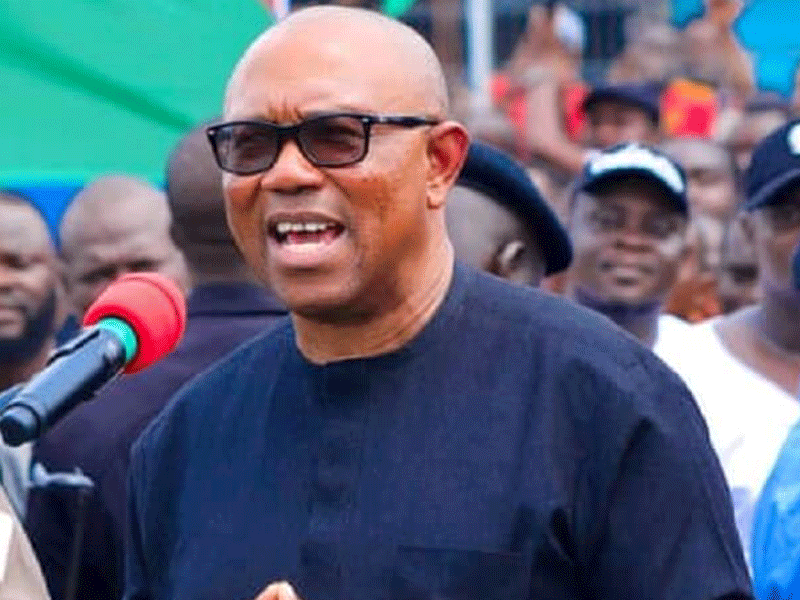 Peter Obi Leads Labour Party Leadership to Borno, Donates N50m for Flood Relief