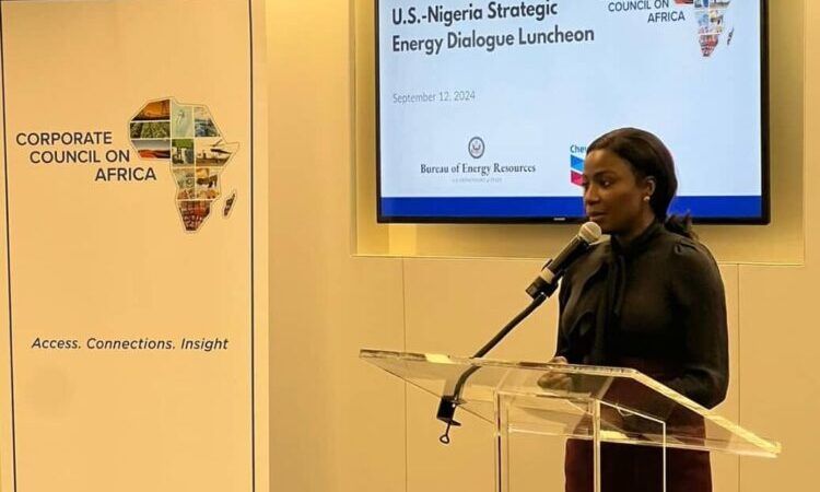 $550 Million Ubeta Field Gas Project Launched as US-Nigeria Strengthen Energy Ties