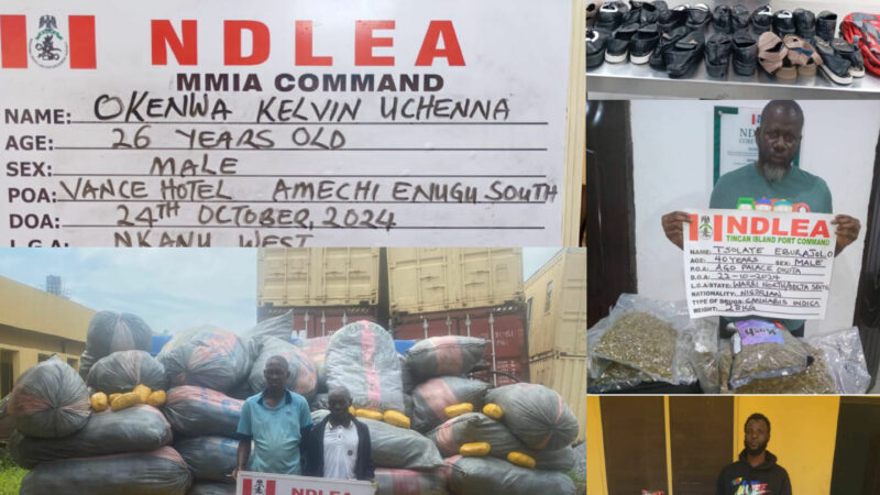 NDLEA Foils Multi-Billion Naira Drug Trafficking Scheme Bound for US, Europe