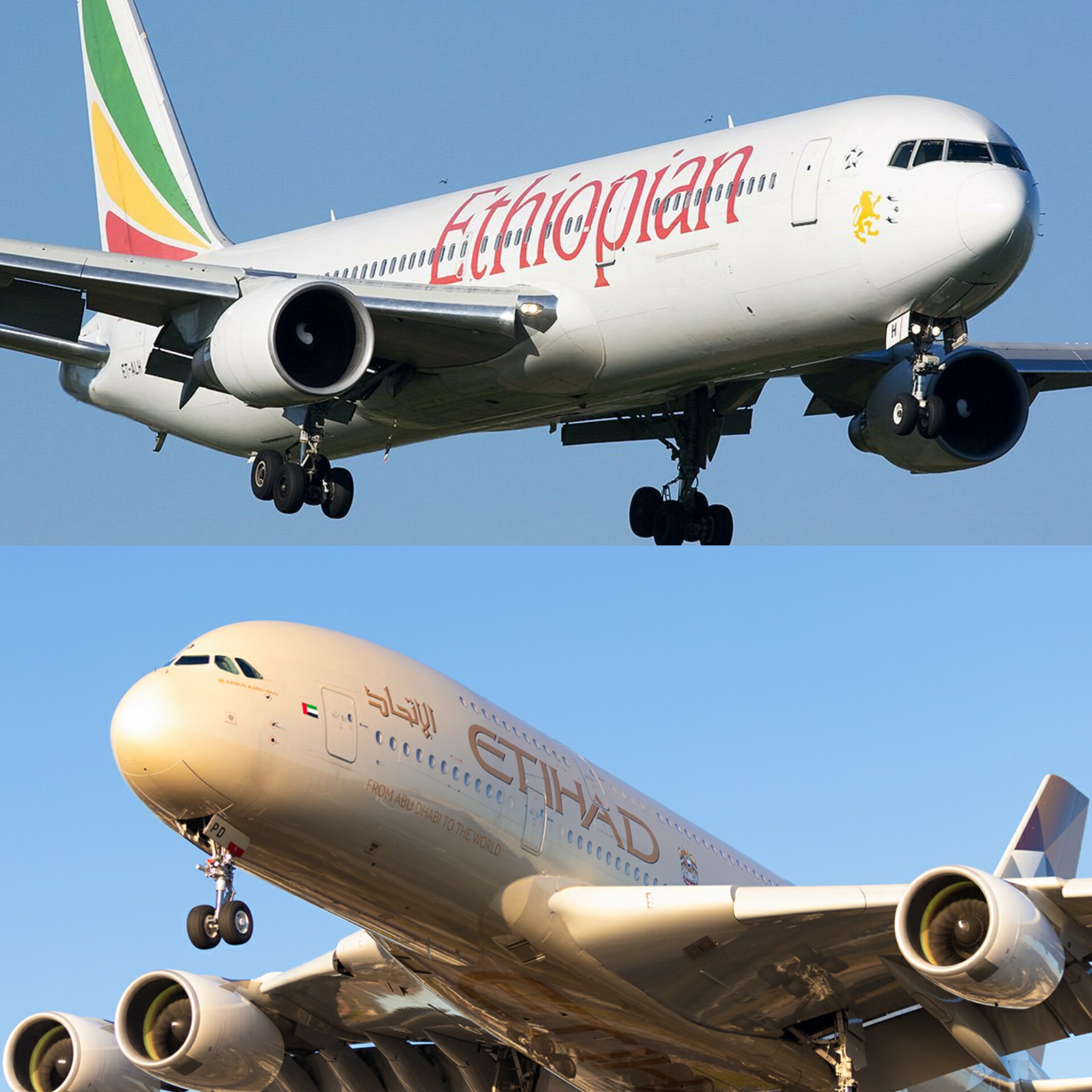 U.S. Department of Transport Fines Ethiopian Airlines, Etihad Airways for Airspace Violations