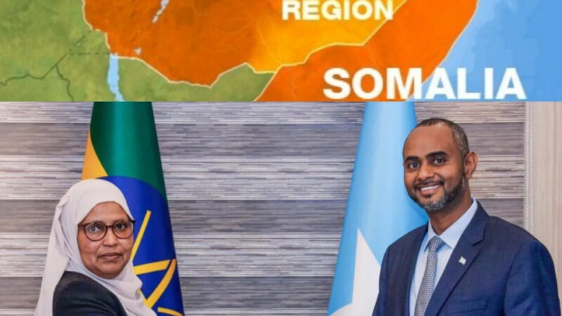 Diplomatic Tensions Eased as Somalia, Ethiopia Resolve Maritime Dispute