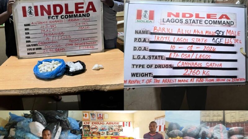 NDLEA Seizes Trailer Load of Cannabis, Intercepts Australia-Bound Cocaine in Sweeping Drug Raids