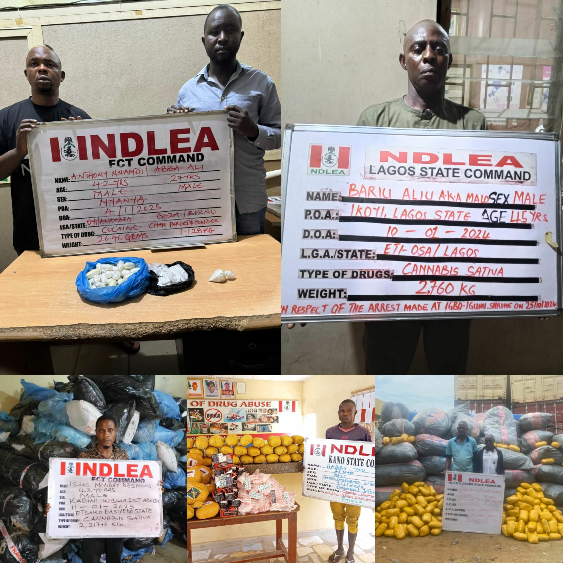 NDLEA Seizes Trailer Load of Cannabis, Intercepts Australia-Bound Cocaine in Sweeping Drug Raids