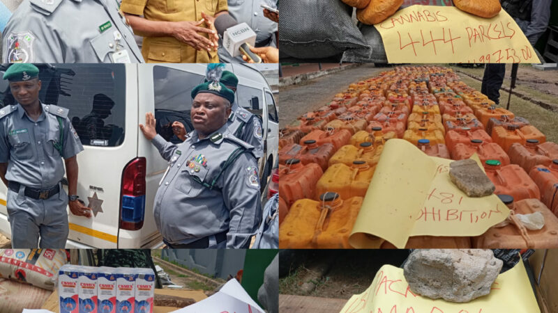 Seme Customs Command Generates N743.7 Million in One Month, Hands Over 444 Parcels of Cannabis Sativa to NDLEA