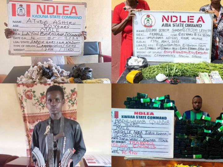 Octogenarian Ex-Convict, Grandma Among Dozens Arrested as NDLEA Intercepts N3.2bn Worth of Illicit Drugs