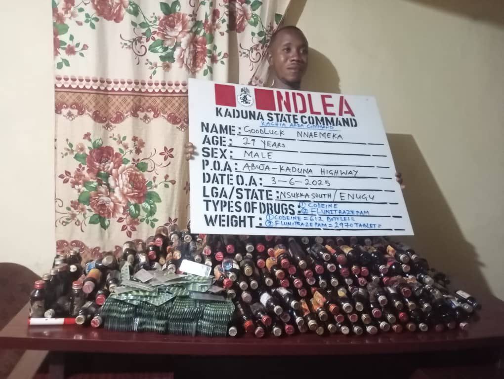 NDLEA Foils Int'l Drug Plot, Seizes “Green-Tea” Cannabis at Lagos Airport 3 IMG 20250608 WA0005