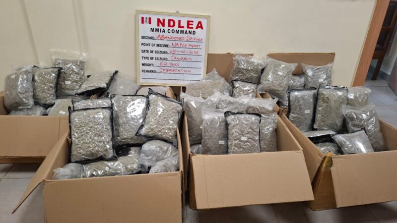 NDLEA Foils Int’l Drug Plot, Seizes “Green-Tea” Cannabis at Lagos Airport