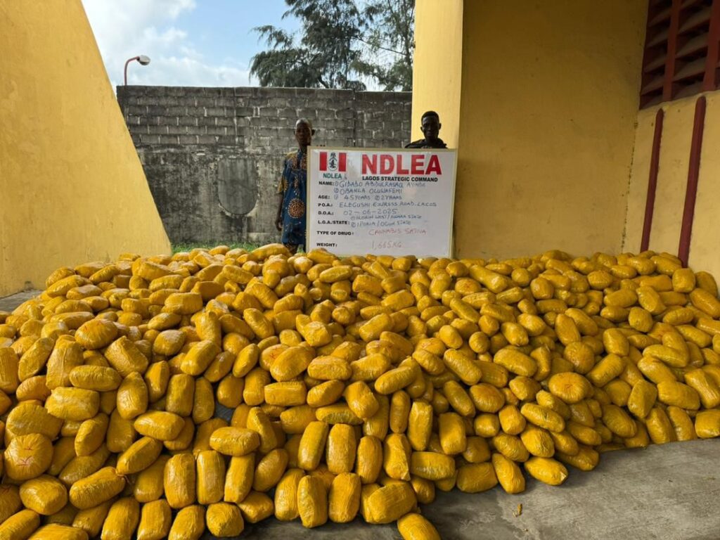 NDLEA Foils Int'l Drug Plot, Seizes “Green-Tea” Cannabis at Lagos Airport 4 IMG 20250608 WA0011
