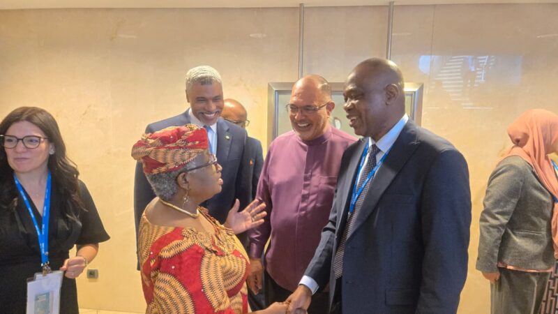 WTO Director-General Applauds CGC Adeniyi’s Leadership at WCO Council Session in Brussels