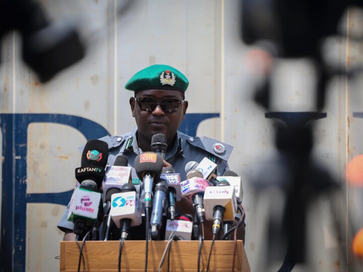 Customs Intercepts Container Laden with Over 10,000 Donkey Genitals in Major Wildlife Trafficking Bust