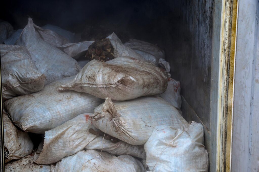 Customs Intercepts Container Laden with Over 10,000 Donkey Genitals in Major Wildlife Trafficking Bust 2 IMG 20250711 WA0026