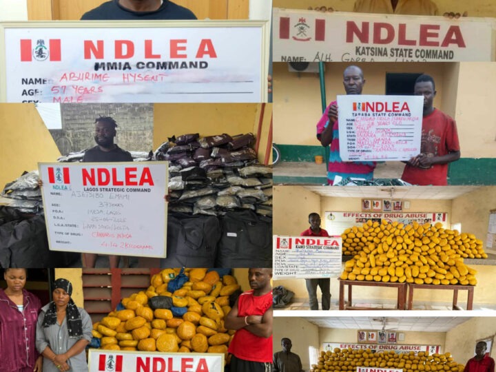 NDLEA Busts Drug Syndicates, Intercepts Cocaine Hidden in Lipsticks, Property Documents