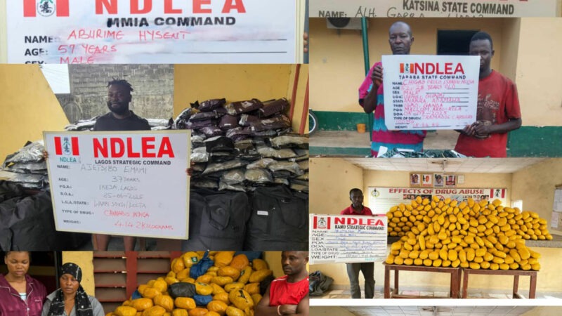 NDLEA Busts Drug Syndicates, Intercepts Cocaine Hidden in Lipsticks, Property Documents