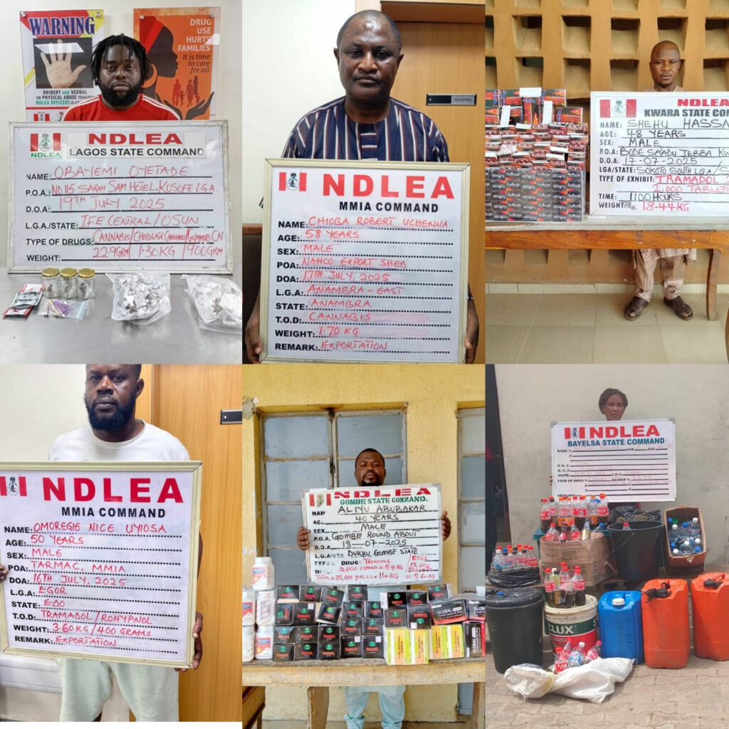NDLEA Arrests Drug Kingpin After Seven Years on the Run, Seizes Over 100 Tonnes of Narcotics Nationwide 2 InShot 20250721 073834375