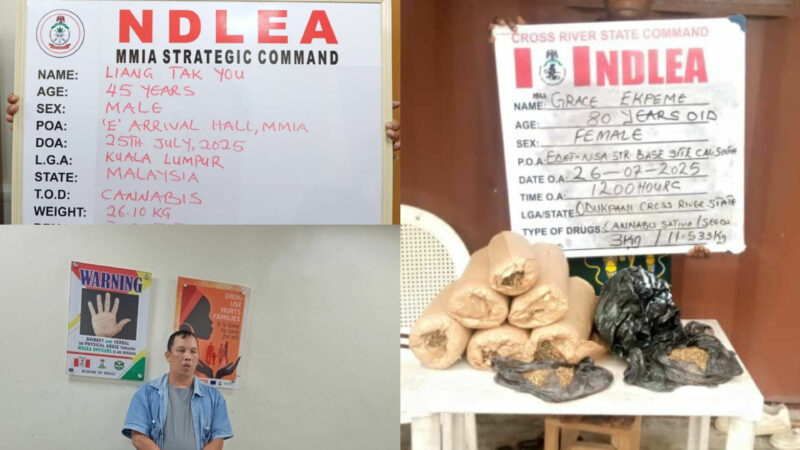 NDLEA Nabs Chinese Businessman, 80-Year-Old Grandma as Colos is Concealed in Moimoi Sachets, Canadian Loud in Canned Food