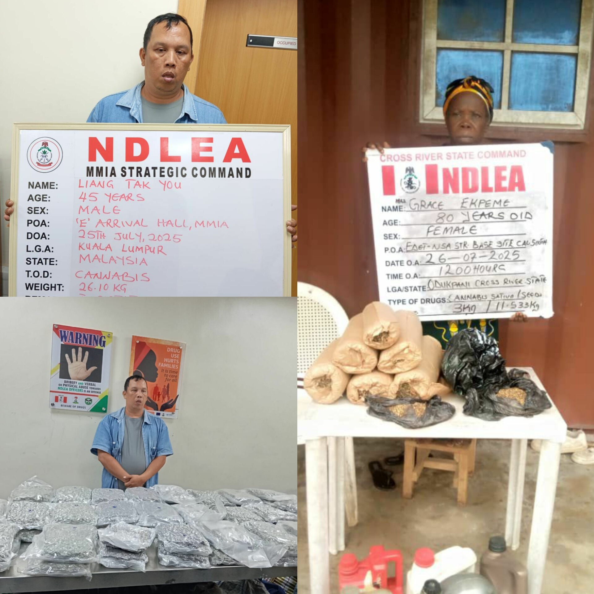 NDLEA Nabs Chinese Businessman, 80-Year-Old Grandma as Colos is Concealed in Moimoi Sachets, Canadian Loud in Canned Food