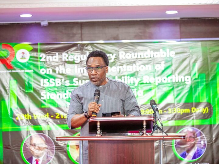 NiMet DG Anosike Calls for Climate Risk Integration in Sustainability Reporting