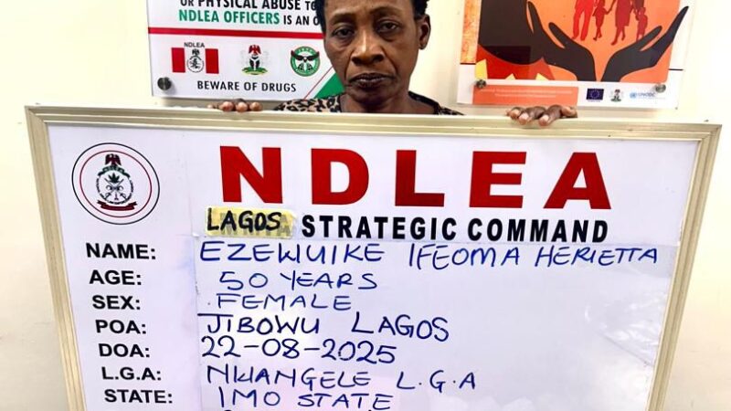 Widow Using Fake Pregnancy to Traffic Cocaine Nabbed as NDLEA Intensifies Nationwide Crackdown