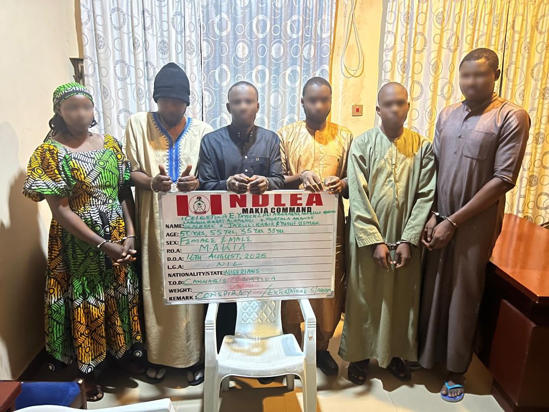 NDLEA Arrests Drug Kingpin, Five Others in Kano Over Framing of Nigerian Pilgrims Detained in Saudi Arabia 1 NDLEA Arrests Drug Kingpin, Five Others in Kano Over Framing of Nigerian Pilgrims Detained in Saudi Arabia