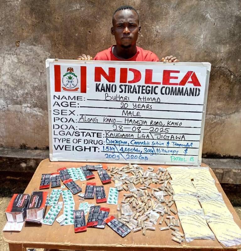 NDLEA Smashes Major Drug Syndicates Nationwide, Arrests 75-Year-Old Grandpa 5 IMG 20250831 WA0012