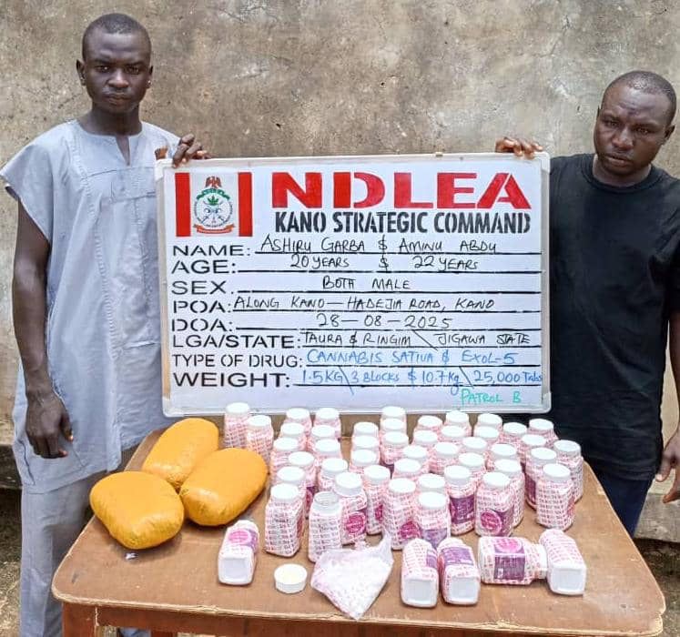 NDLEA Smashes Major Drug Syndicates Nationwide, Arrests 75-Year-Old Grandpa 3 IMG 20250831 WA0013