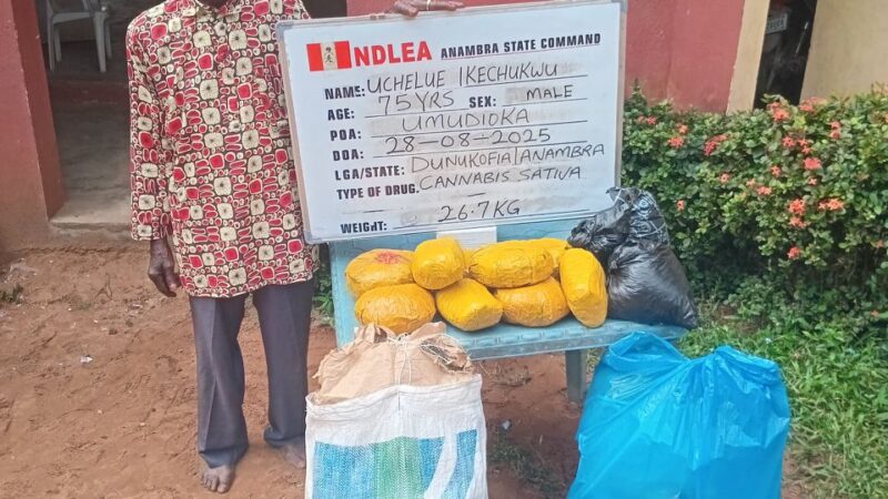 NDLEA Smashes Major Drug Syndicates Nationwide, Arrests 75-Year-Old Grandpa