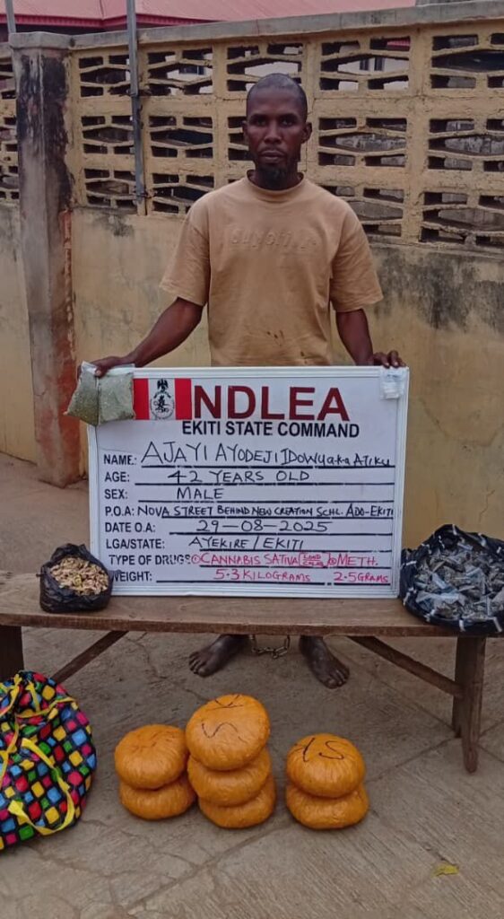 NDLEA Smashes Major Drug Syndicates Nationwide, Arrests 75-Year-Old Grandpa 4 IMG 20250831 WA0017