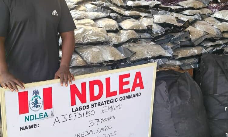Two Drug Kingpins Jailed for 10 Years as NDLEA Secures Major Convictions
