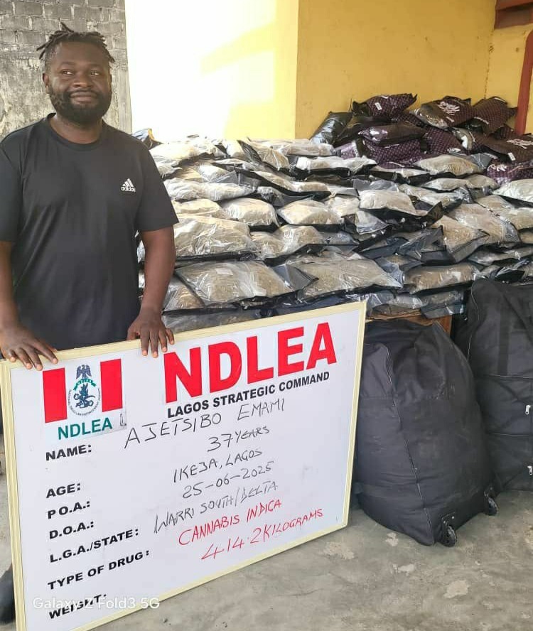 Two Drug Kingpins Jailed for 10 Years as NDLEA Secures Major Convictions