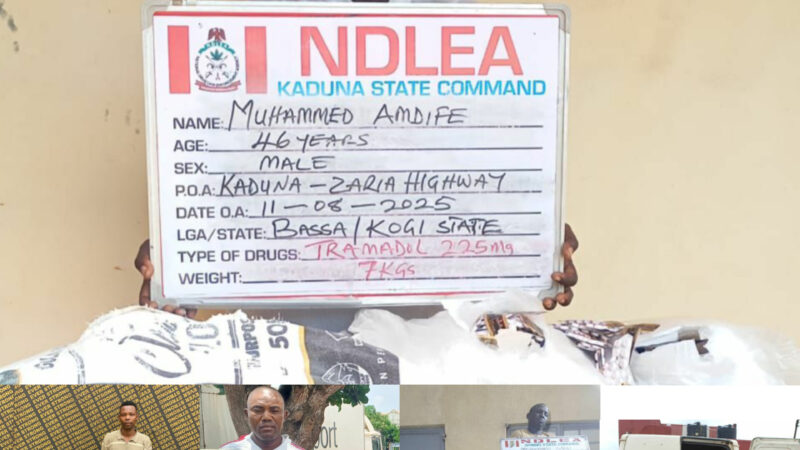 NDLEA Arrests Notorious Kingpin in Delta, Intercepts N7.8bn Opioids in Rivers, Destroys 48,750kg Skunk Across States