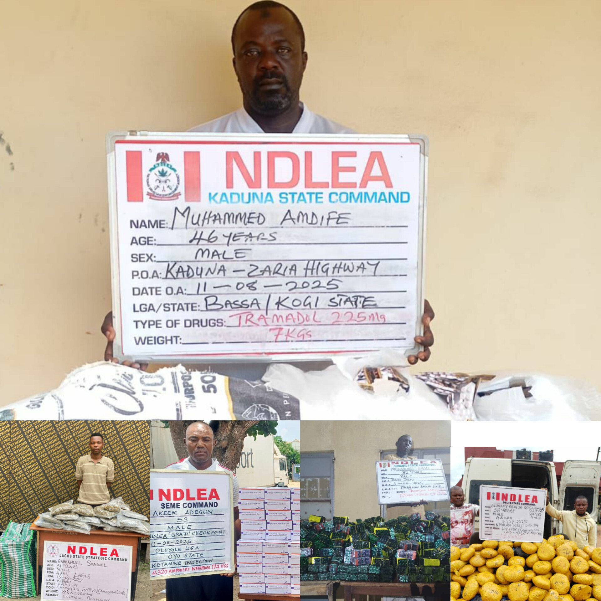 NDLEA Arrests Notorious Kingpin in Delta, Intercepts N7.8bn Opioids in Rivers, Destroys 48,750kg Skunk Across States