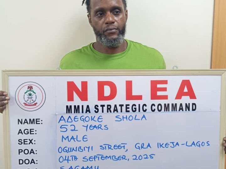 NDLEA Dismantles Int’l Drug Cartel, Seizes N5.3bn Worth of Cocaine Bound for Australia