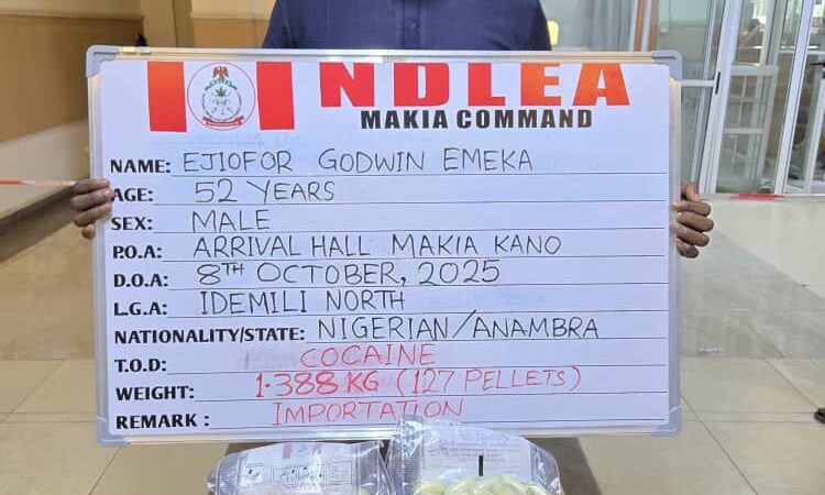 Man Arrested with 127 Cocaine Wraps at Kano Airport as NDLEA Uncovers Drugs Concealed in Ceramics, Drinks and Bags