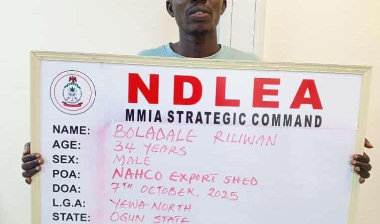 NDLEA Uncovers Drug Syndicates Using Frozen Snails, Electrical Bulbs to Smuggle Narcotics Abroad