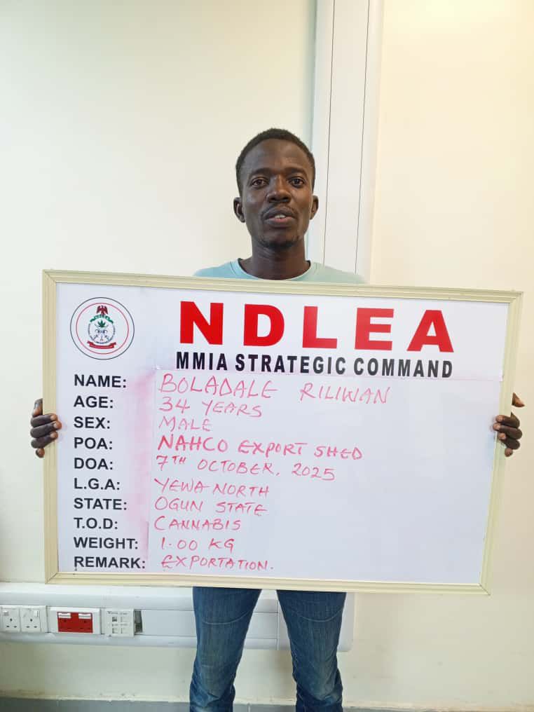 NDLEA Uncovers Drug Syndicates Using Frozen Snails, Electrical Bulbs to Smuggle Narcotics Abroad 1 NDLEA Uncovers Drug Syndicates Using Frozen Snails, Electrical Bulbs to Smuggle Narcotics Abroad