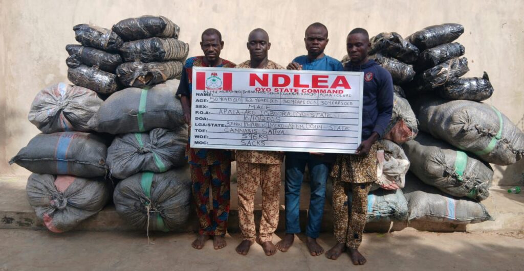 NDLEA Uncovers Drug Syndicates Using Frozen Snails, Electrical Bulbs to Smuggle Narcotics Abroad 5 IMG 20251019 WA0065