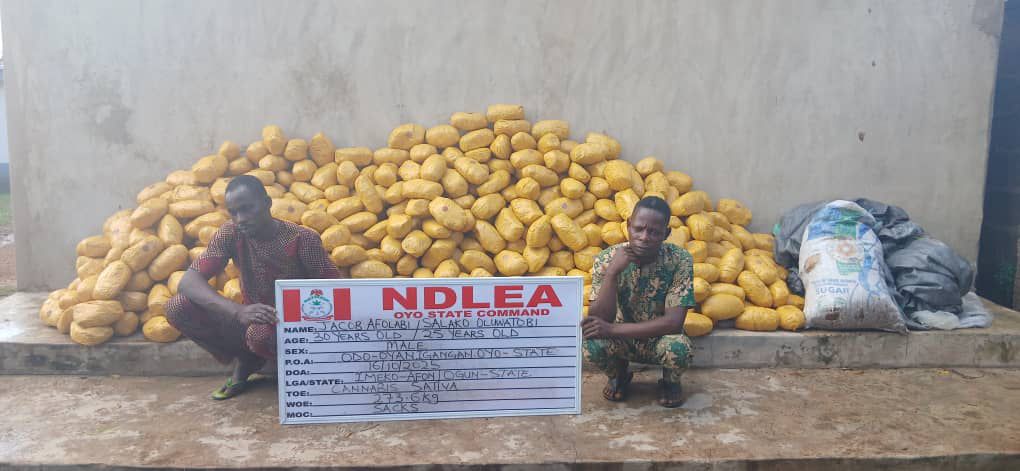 NDLEA Uncovers Drug Syndicates Using Frozen Snails, Electrical Bulbs to Smuggle Narcotics Abroad 7 IMG 20251019 WA0069