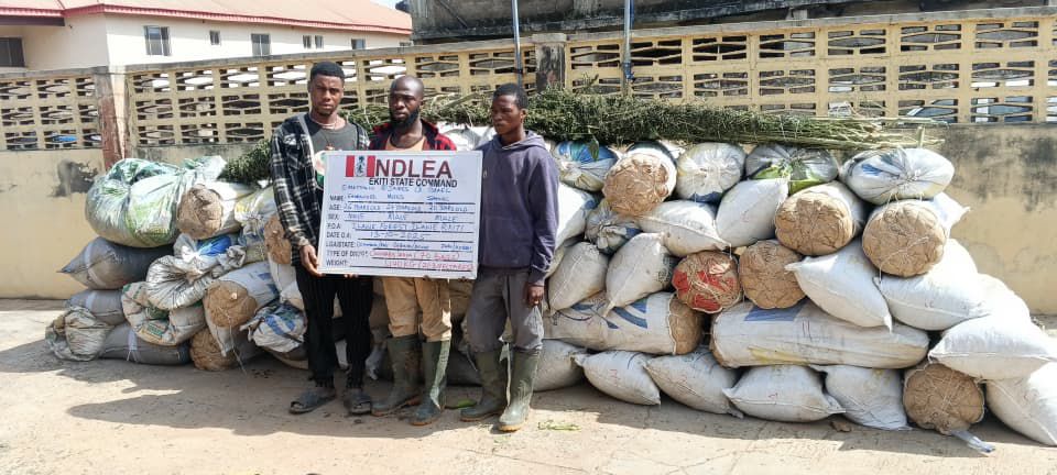 NDLEA Uncovers Drug Syndicates Using Frozen Snails, Electrical Bulbs to Smuggle Narcotics Abroad 6 IMG 20251019 WA0070