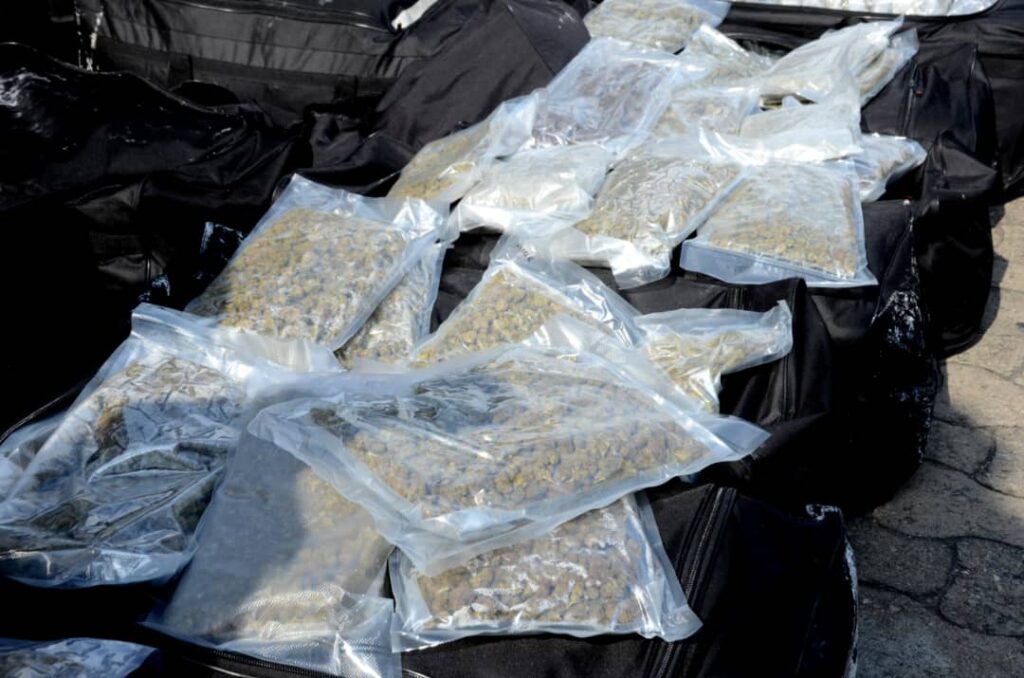 Tin Can Customs Intercepts Illicit Drugs Worth N5.3 Billion Concealed in Imported Vehicles 3 IMG 20251024 WA0251