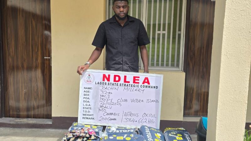 NDLEA Cracks Down on Drug Party at Lagos Night Club, Seizes 384.88kg of Cannabis 2 NDLEA Cracks Down on Drug Party at Lagos Night Club, Seizes 384.88kg of Cannabis
